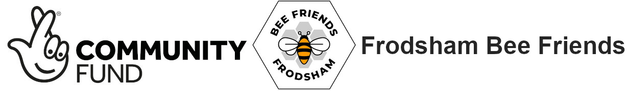 Frodsham Bee Friends